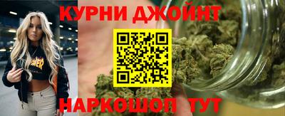 молекула духа Донецк