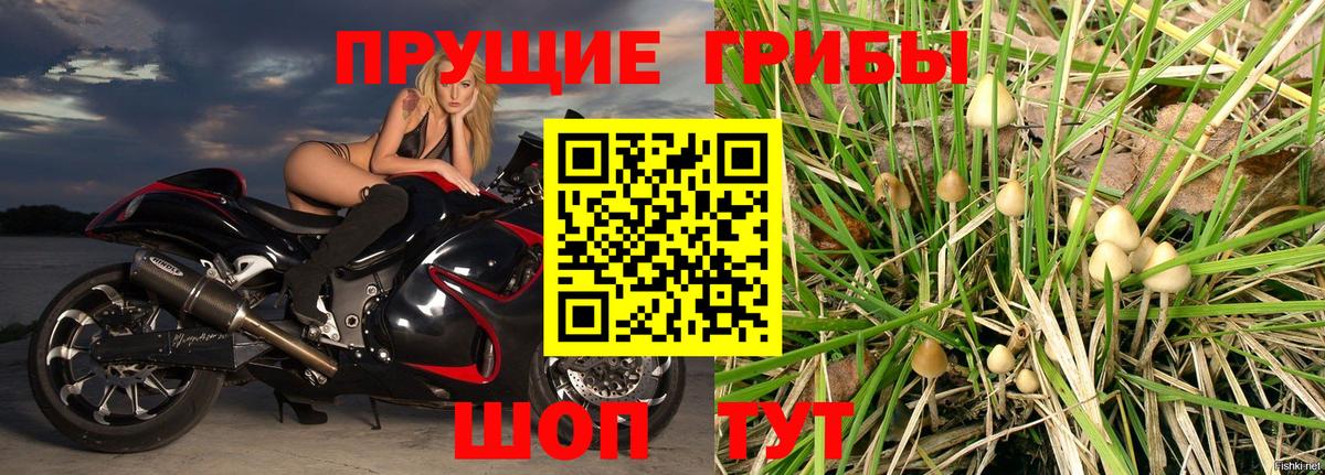 Псилоцибиновые грибы GOLDEN TEACHER Майский